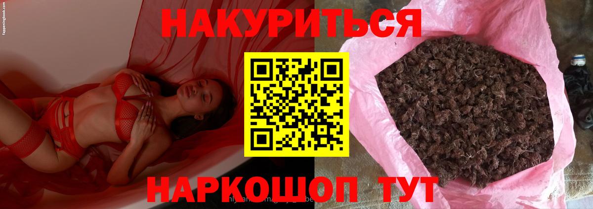 Марихуана Amnesia Славгород